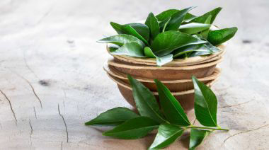 garnishing-instructions-image